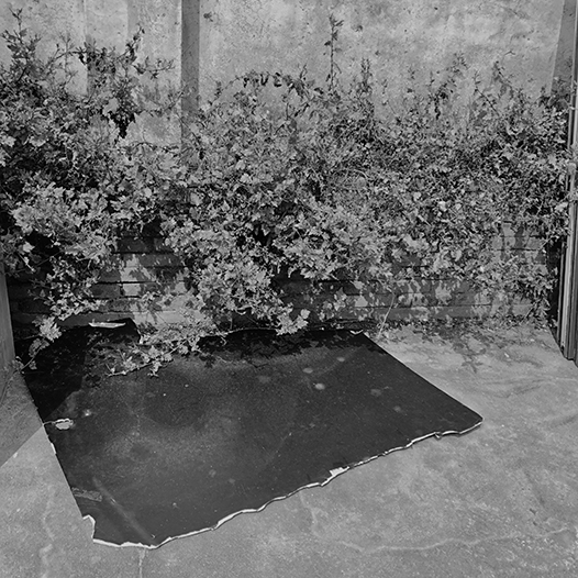 Ng Hon Lam Photography