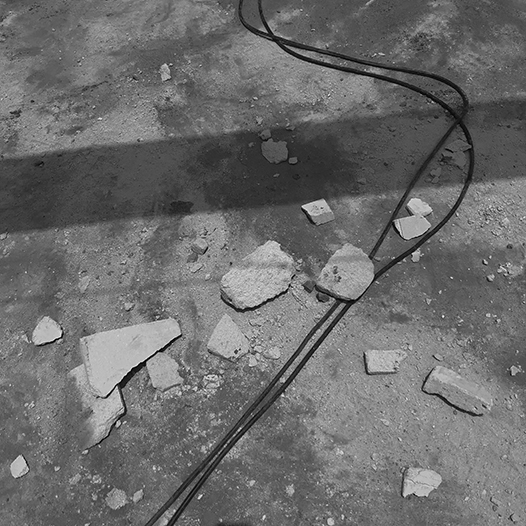 Ng Hon Lam Photography