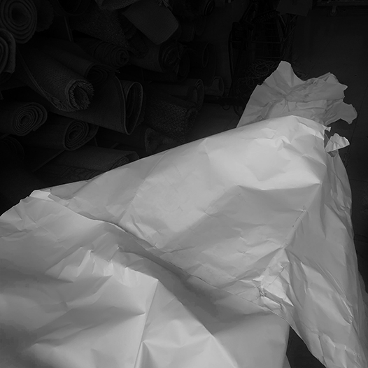 Ng Hon Lam Photography