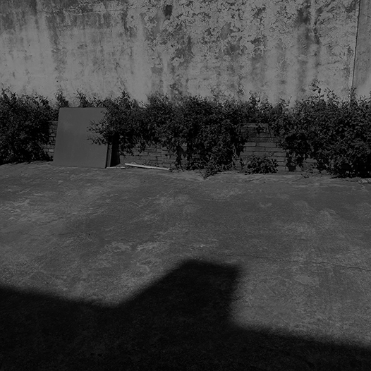 Ng Hon Lam Photography