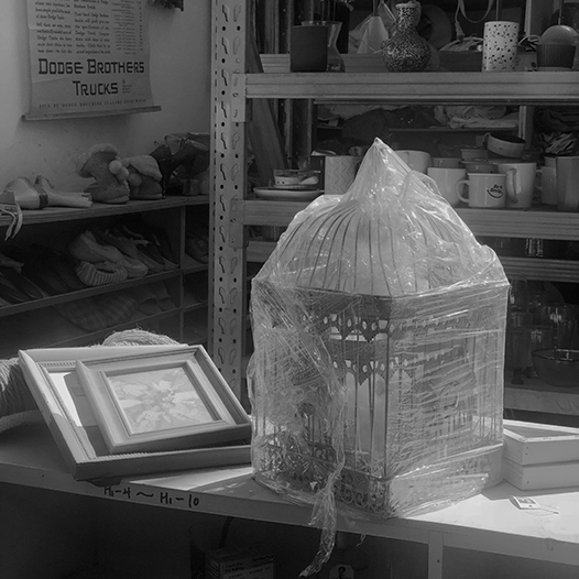 Ng Hon Lam Photography