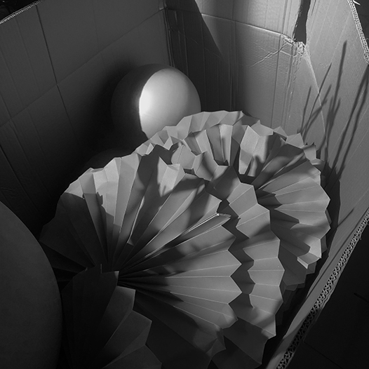 Ng Hon Lam Photography