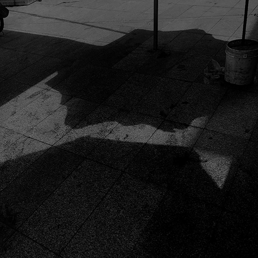 Ng Hon Lam Photography