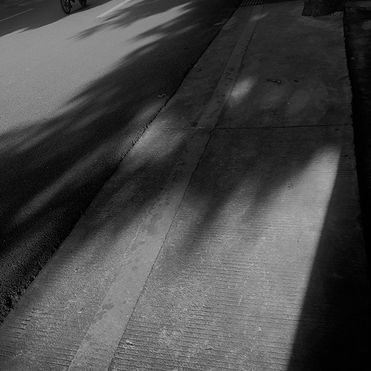 Ng Hon Lam Photography