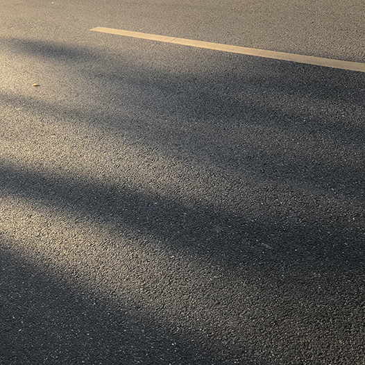 Ng Hon Lam Photography