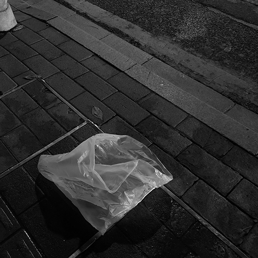 Ng Hon Lam Photography