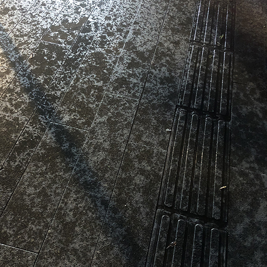 Ng Hon Lam Photography