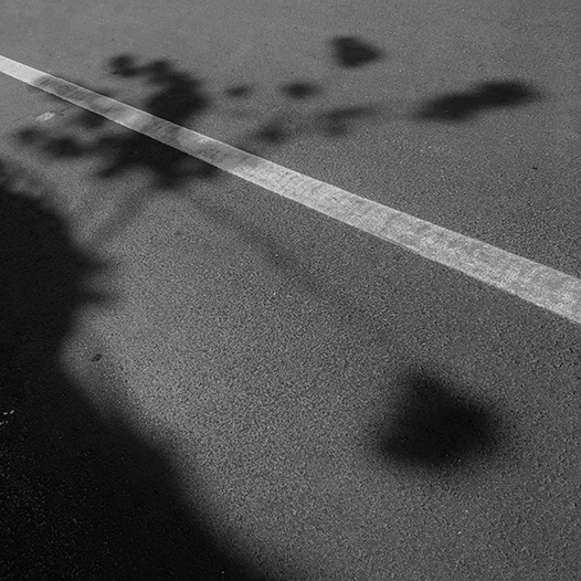 Ng Hon Lam Photography