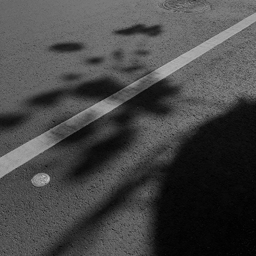 Ng Hon Lam Photography