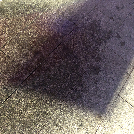 Ng Hon Lam Photography