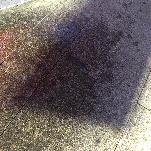 Ng Hon Lam Photography