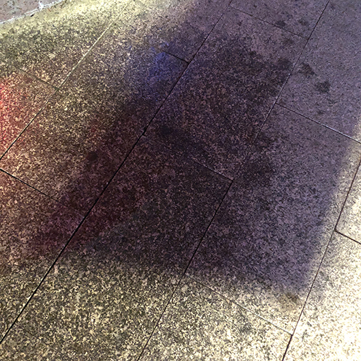 Ng Hon Lam Photography