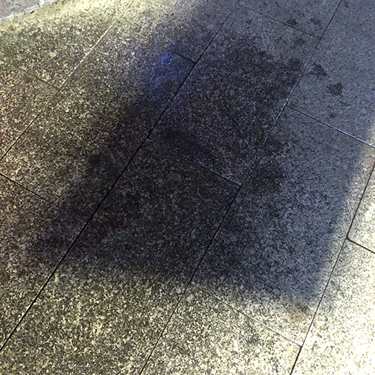 Ng Hon Lam Photography