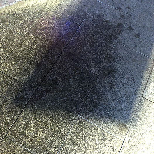 Ng Hon Lam Photography