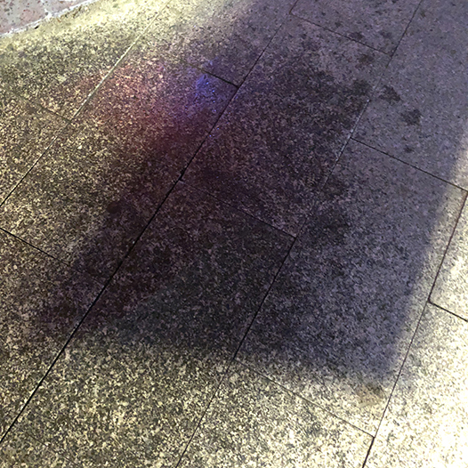 Ng Hon Lam Photography