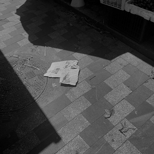 Ng Hon Lam Photography