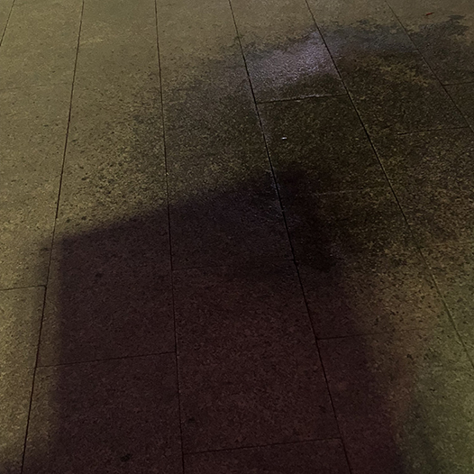 Ng Hon Lam Photography