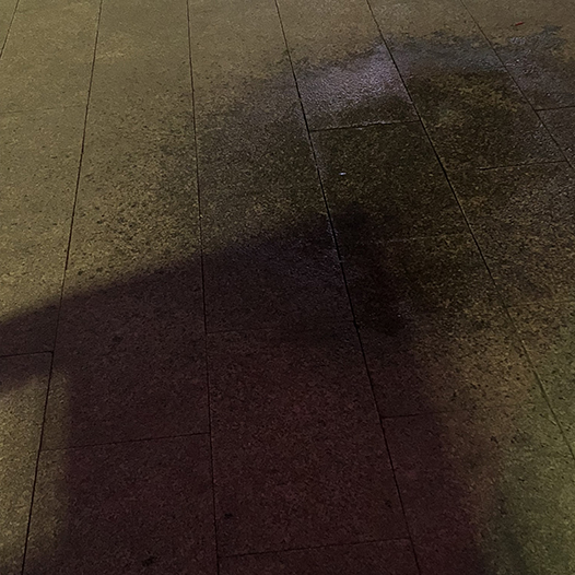 Ng Hon Lam Photography