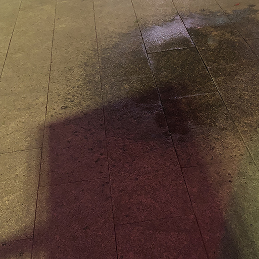 Ng Hon Lam Photography