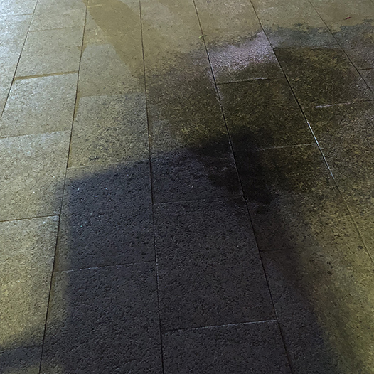 Ng Hon Lam Photography