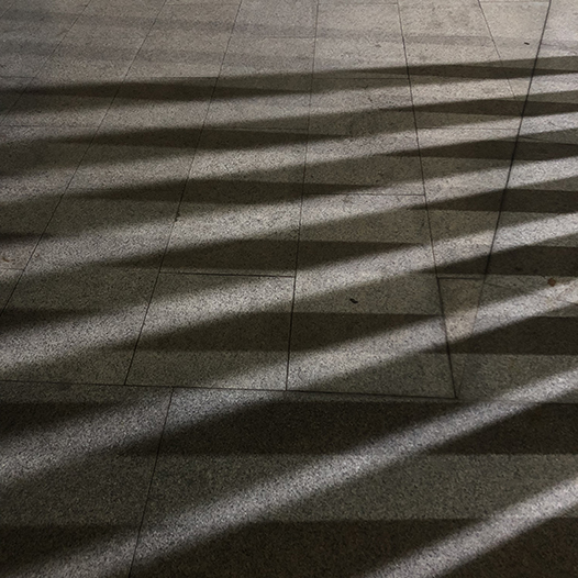 Ng Hon Lam Photography