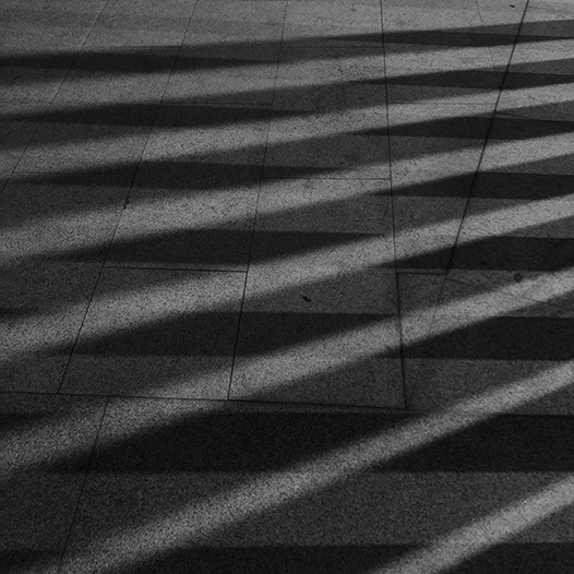 Ng Hon Lam Photography