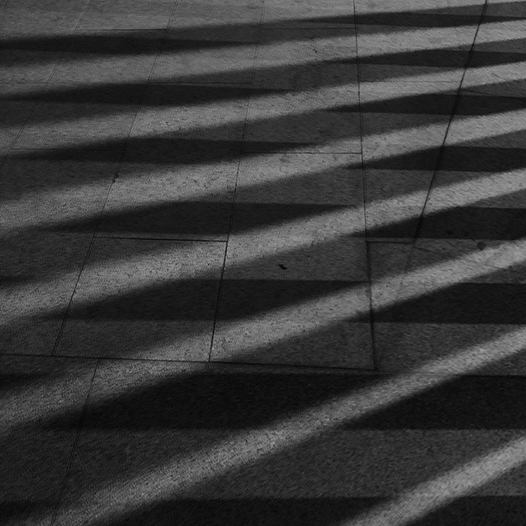 Ng Hon Lam Photography