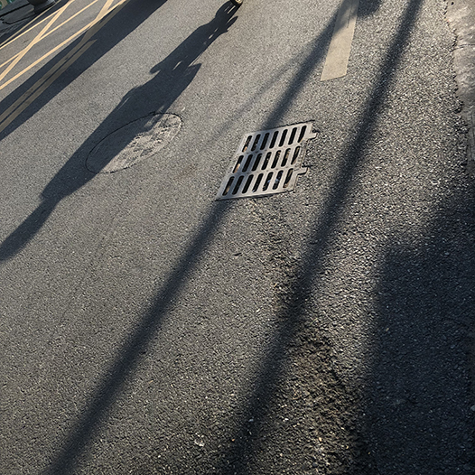 Ng Hon Lam Photography