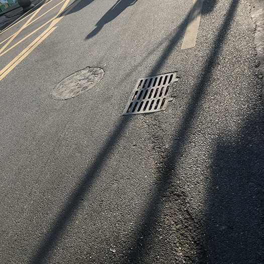 Ng Hon Lam Photography