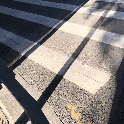 Ng Hon Lam Photography