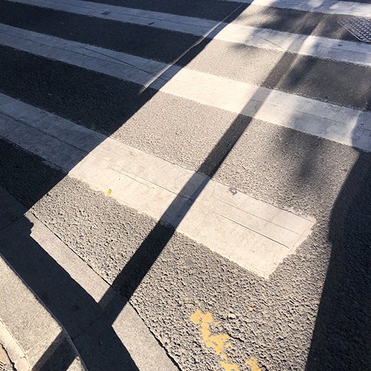 Ng Hon Lam Photography