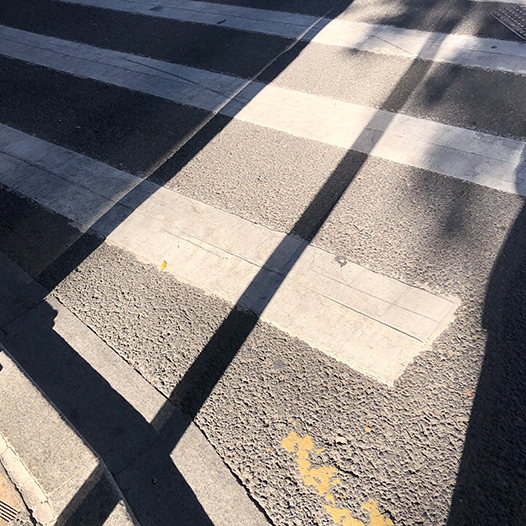 Ng Hon Lam Photography