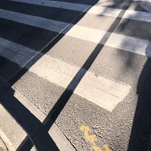 Ng Hon Lam Photography