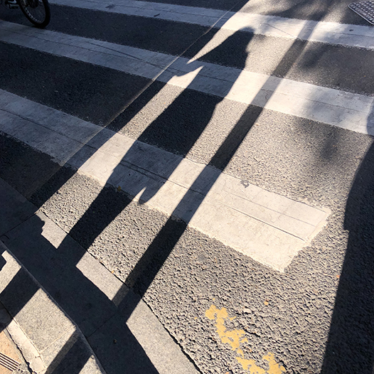 Ng Hon Lam Photography