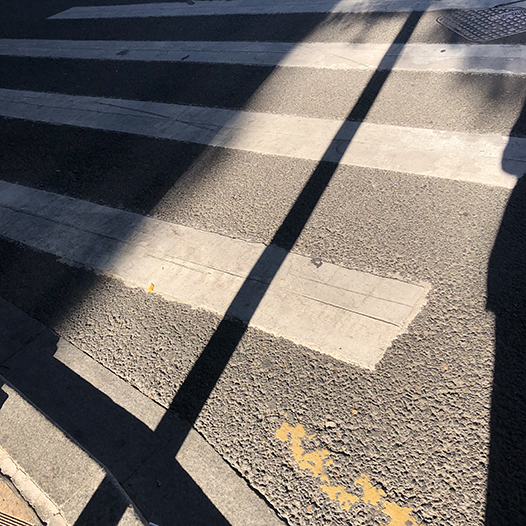 Ng Hon Lam Photography