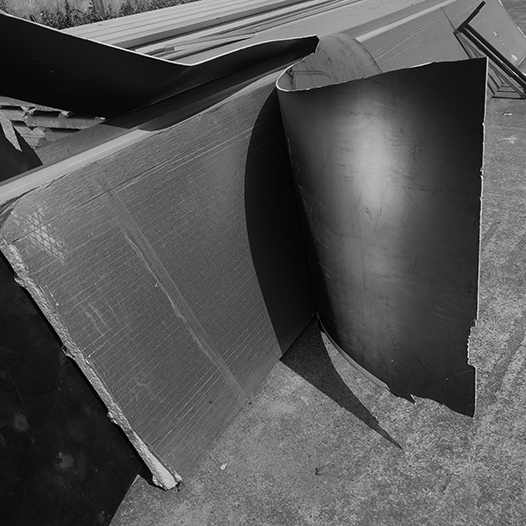 Ng Hon Lam Photography