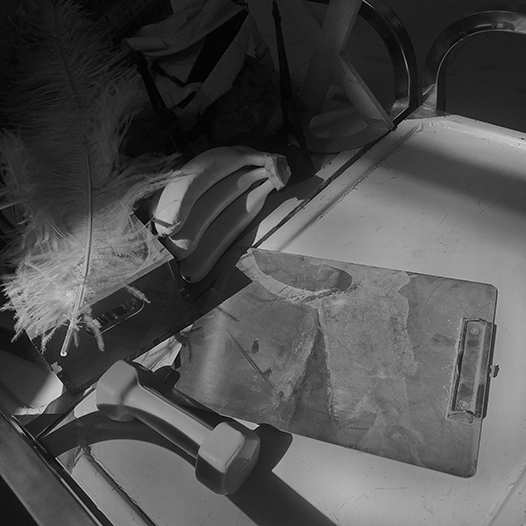 Ng Hon Lam Photography