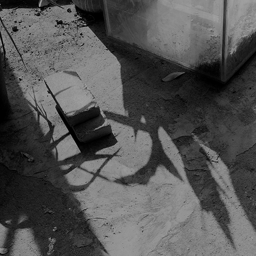 Ng Hon Lam Photography