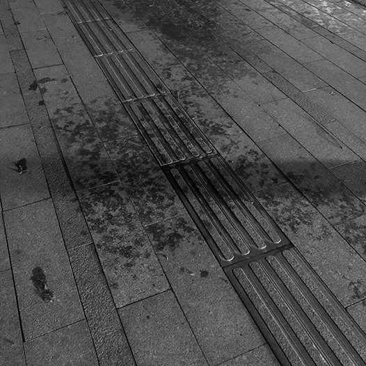 Ng Hon Lam Photography