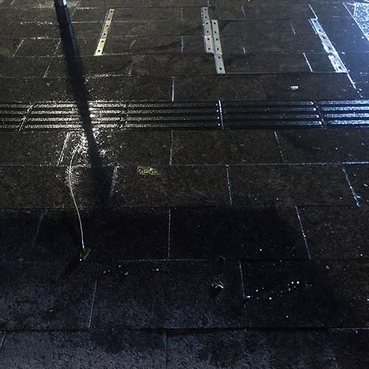 Ng Hon Lam Photography