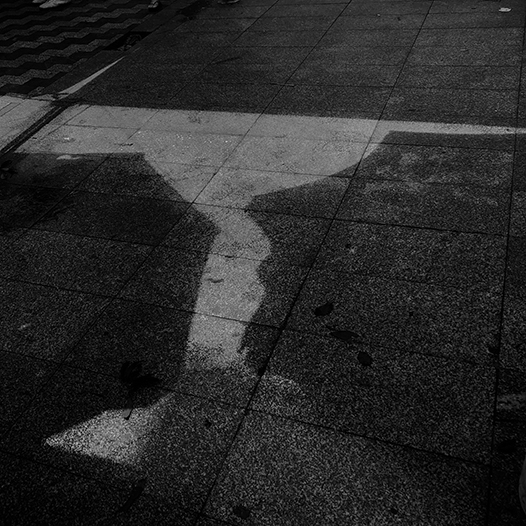 Ng Hon Lam Photography