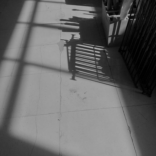 Ng Hon Lam Photography