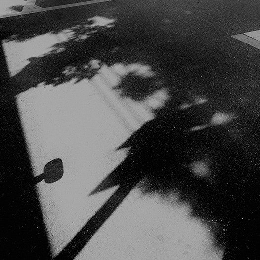 Ng Hon Lam Photography