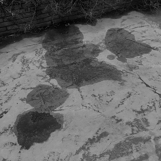 Ng Hon Lam Photography