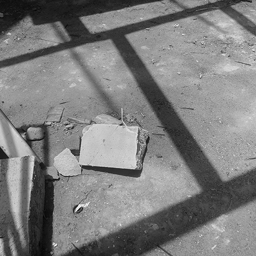 Ng Hon Lam Photography