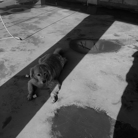 Ng Hon Lam Photography