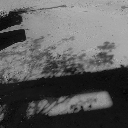 Ng Hon Lam Photography