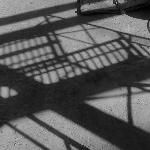 Ng Hon Lam Photography