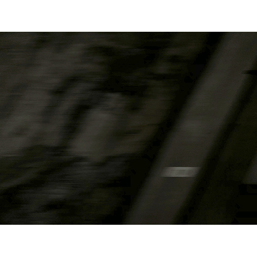 Ng Hon Lam Photography