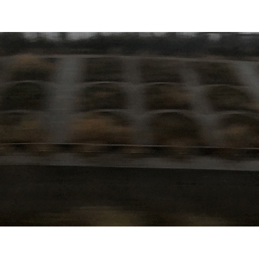 Ng Hon Lam Photography